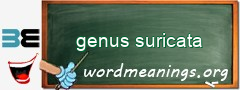 WordMeaning blackboard for genus suricata